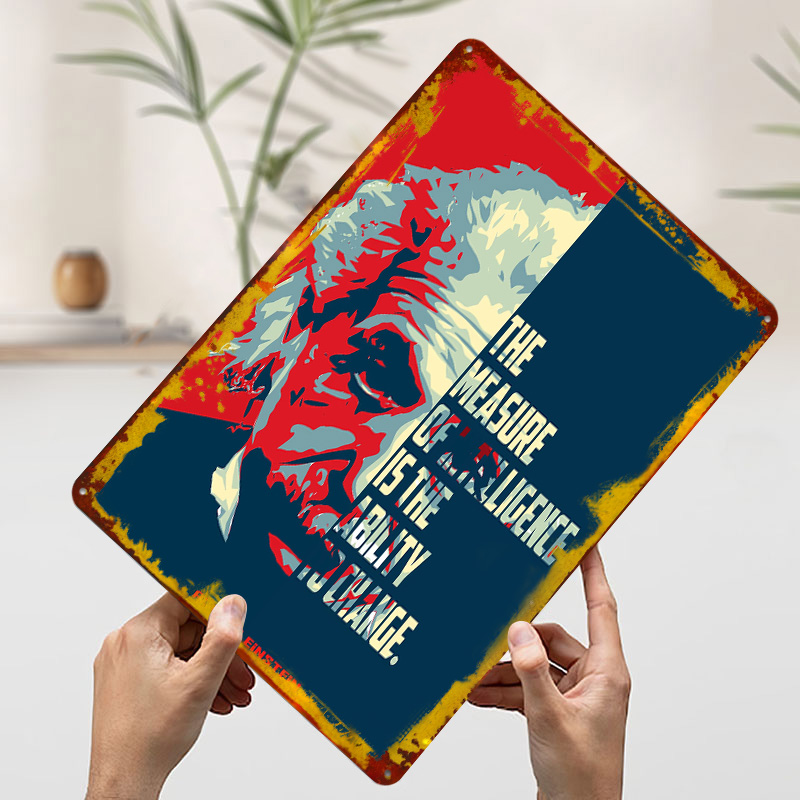 Albert Einstein Quotes Tinplat - Retro Poster Gaming 评论和价格